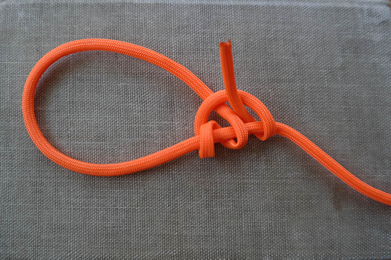 Illustration for article titled Knot Tying Process Images